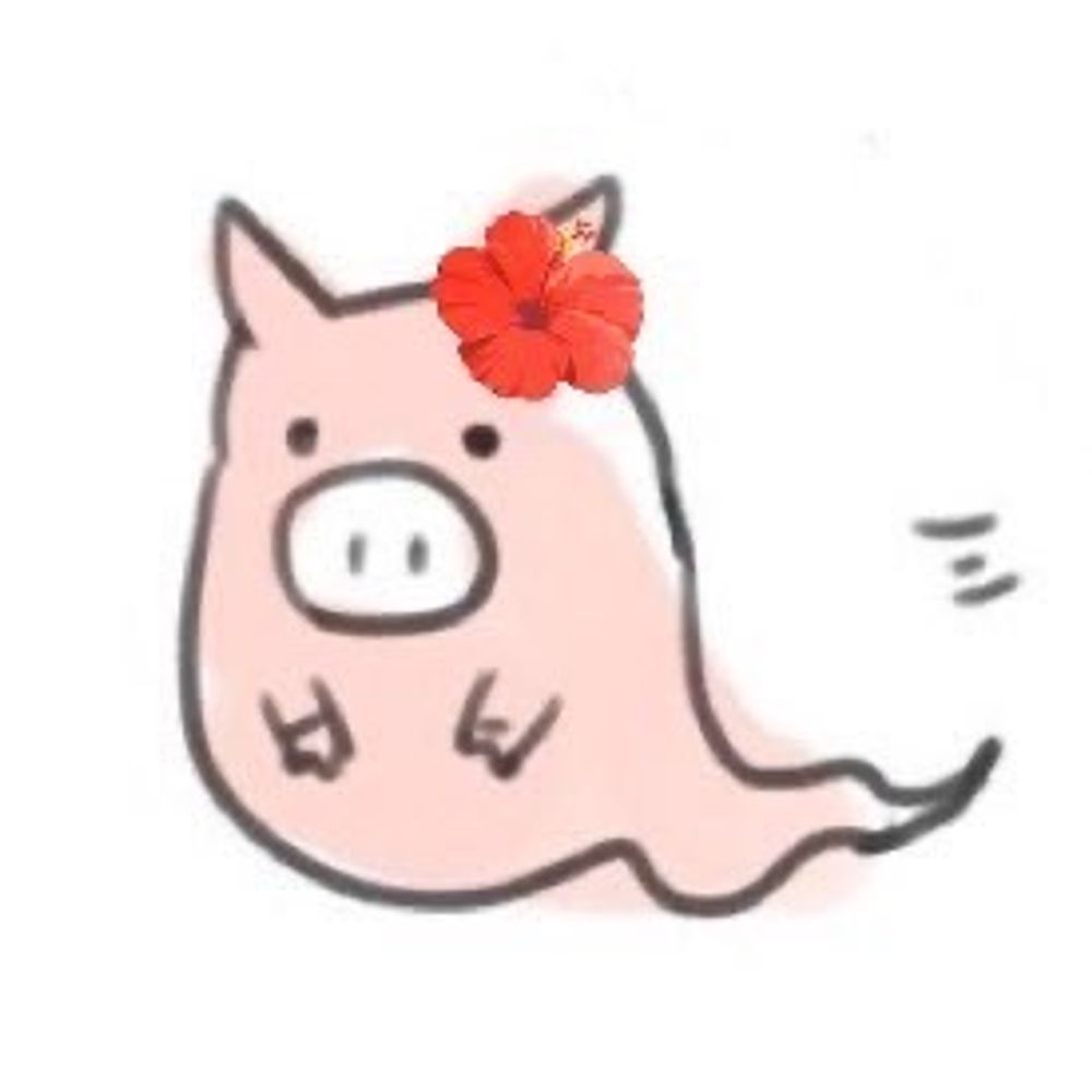 🐖