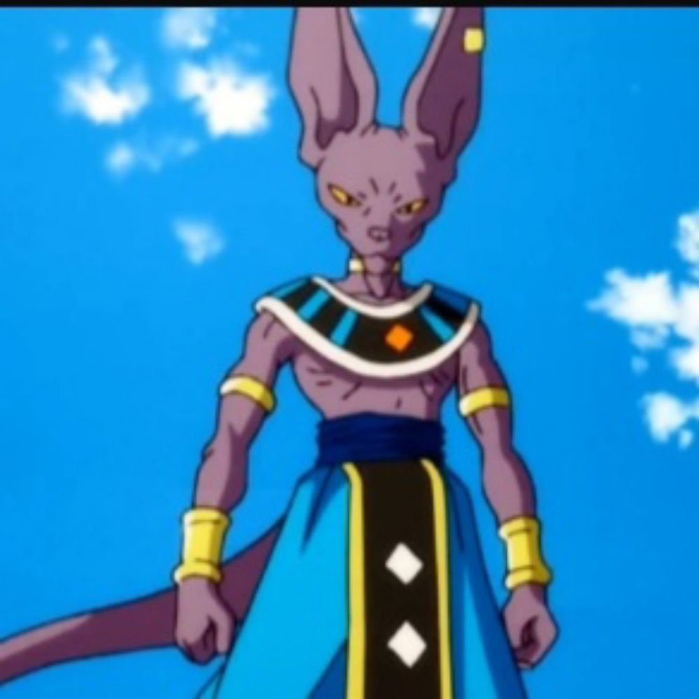 Lord Beerus 