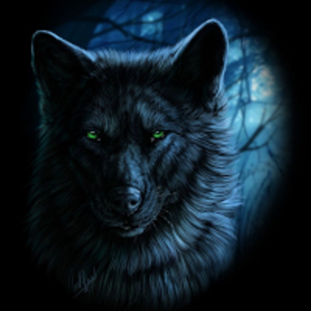 Profile picture donkerewolf.bsky.social