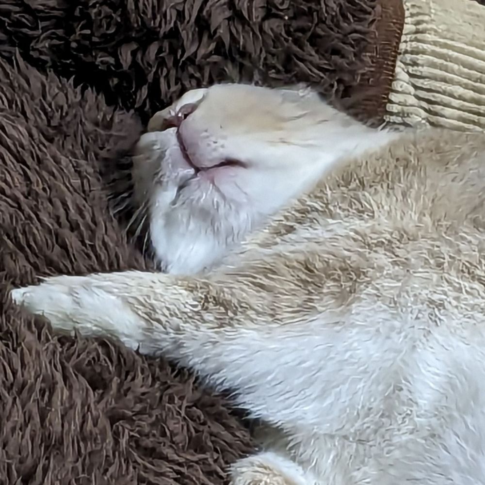 あーちゃん