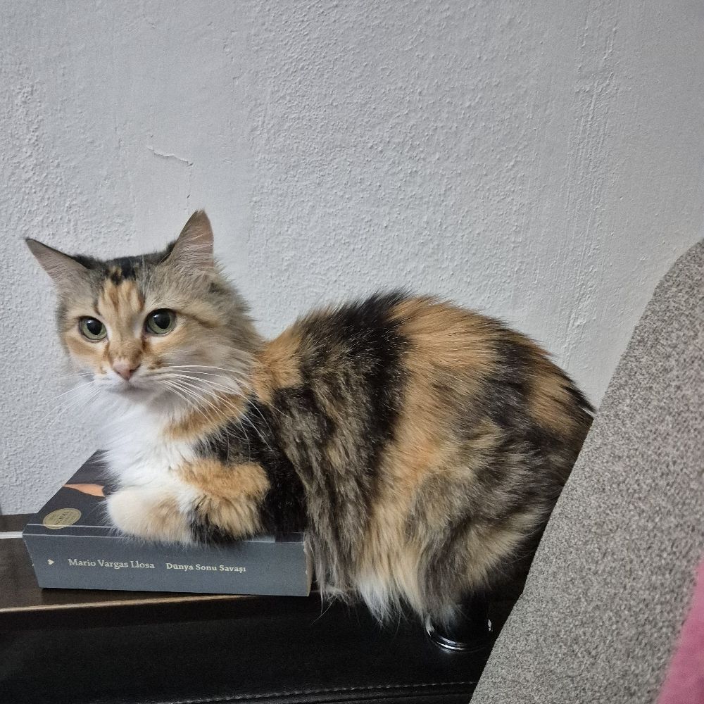 ZeynepNüha