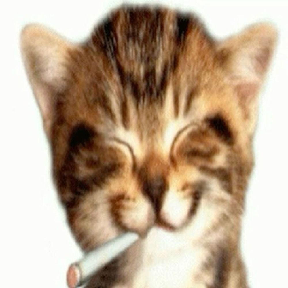 greatswordkitty