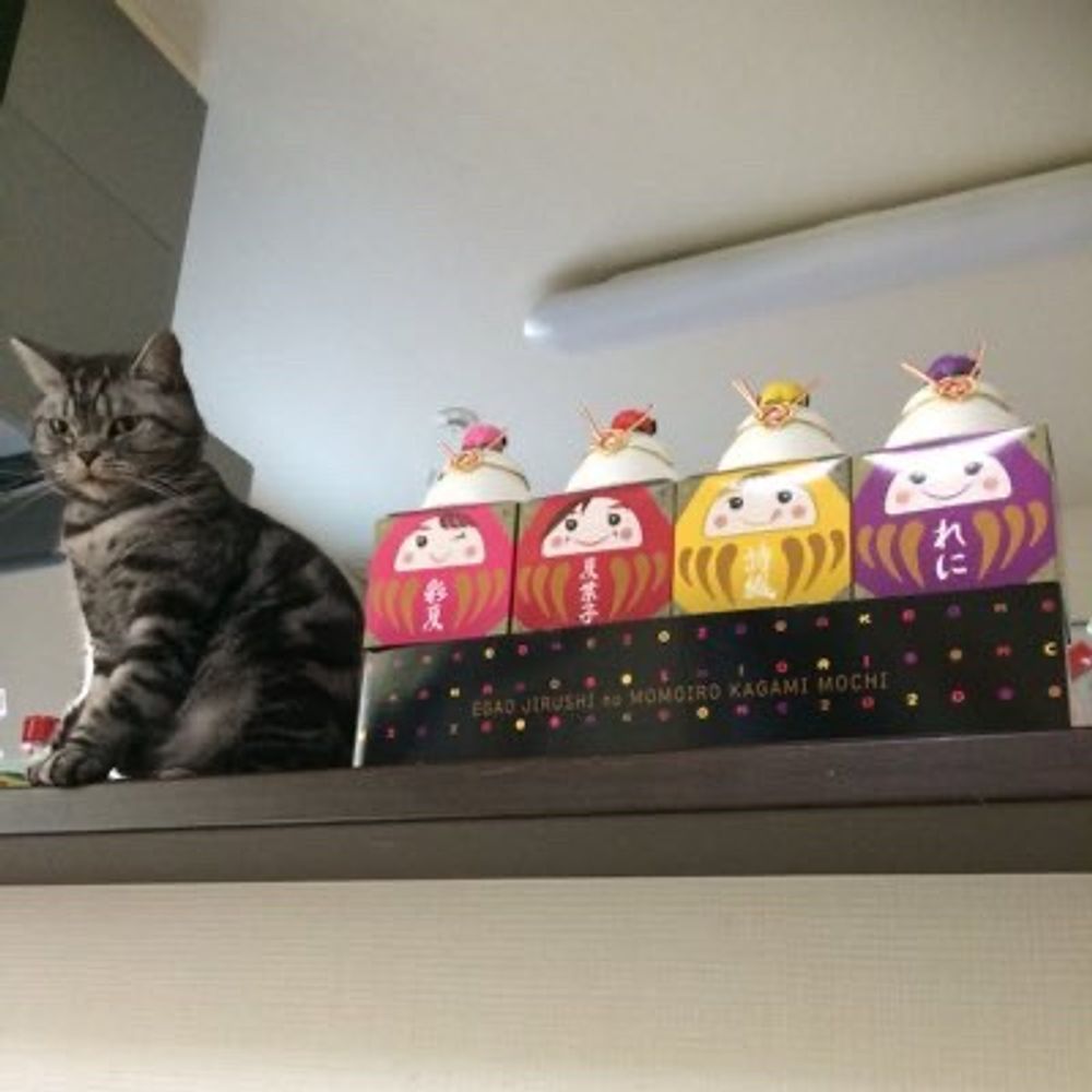 にゃーちゃん