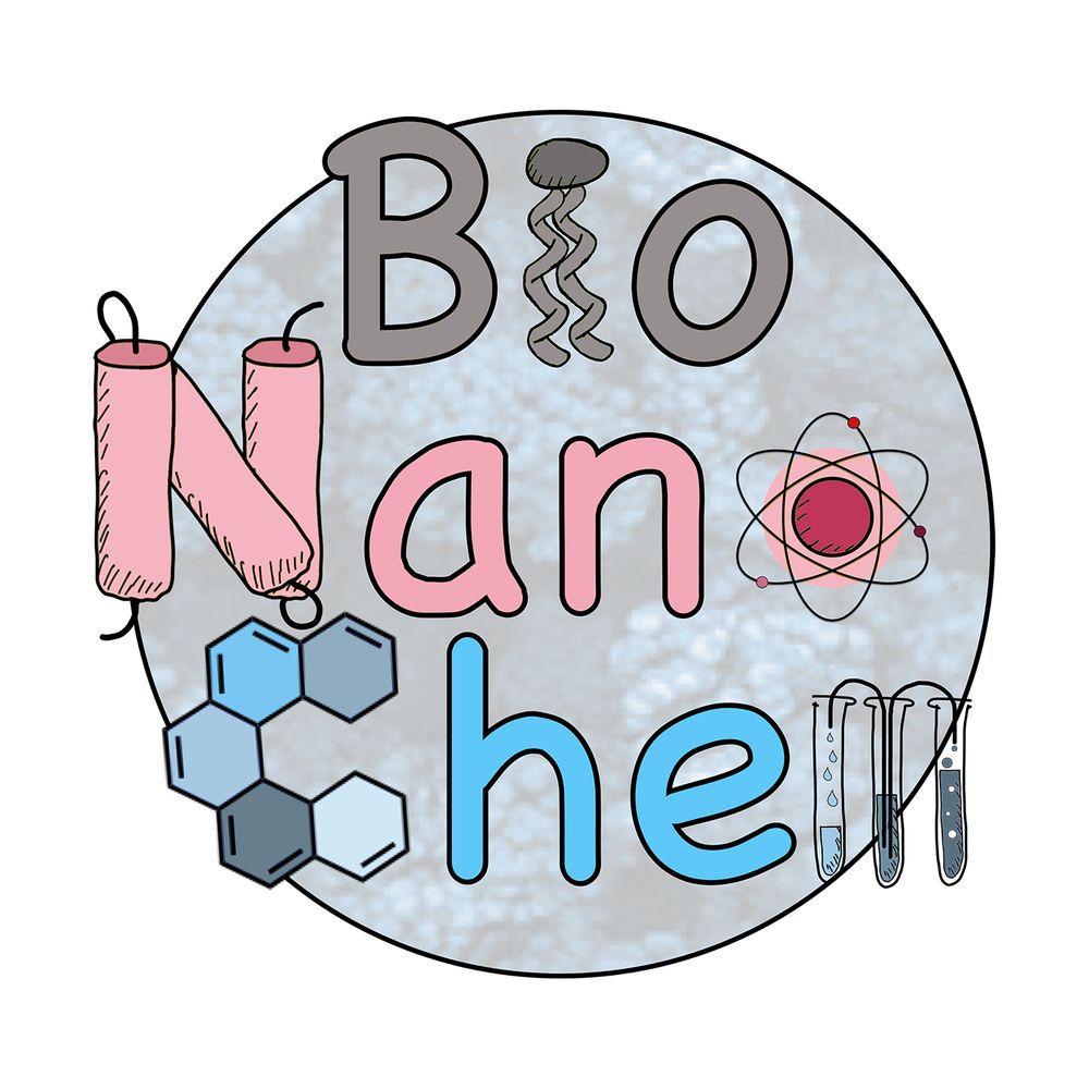 BioNanoChem