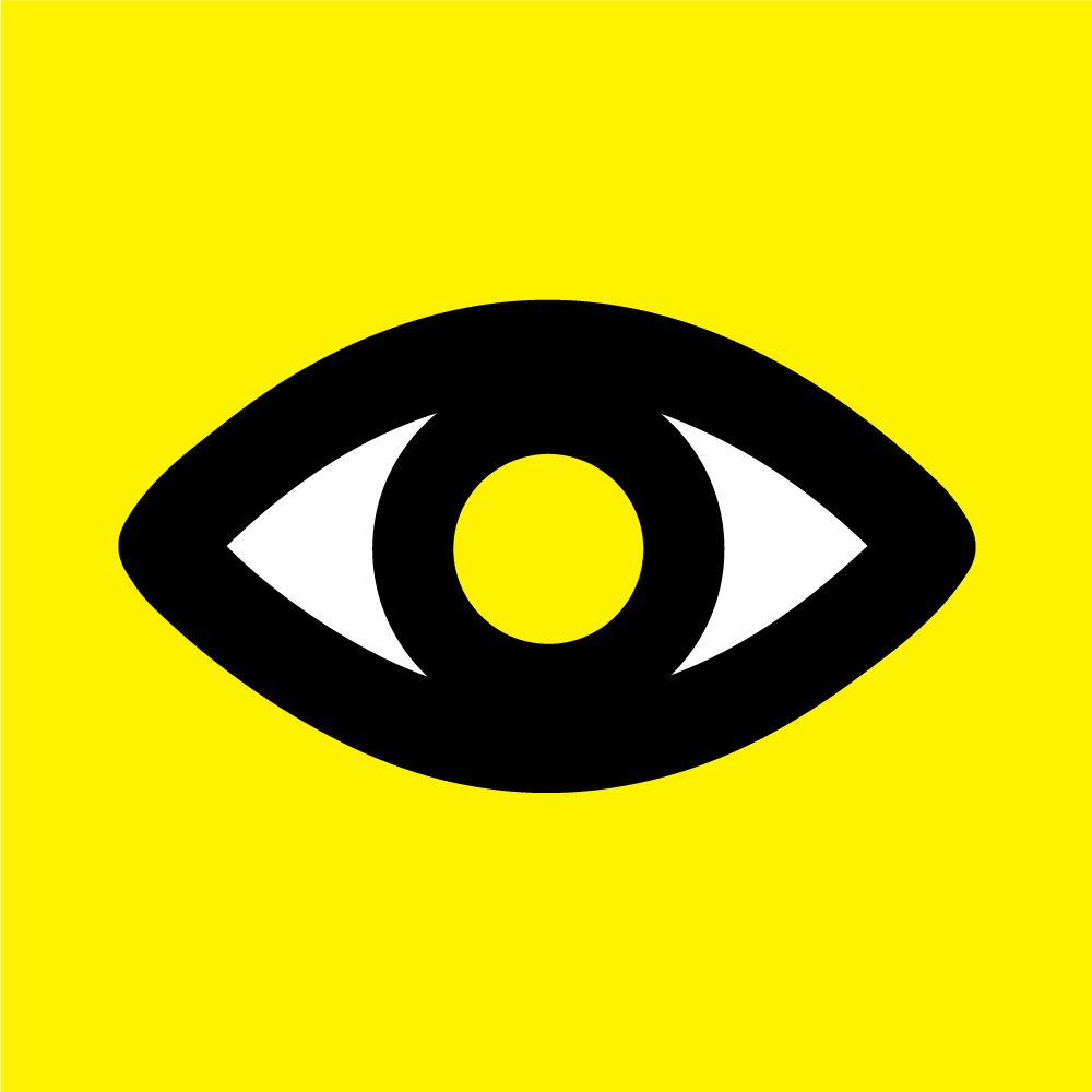 Macular Society 