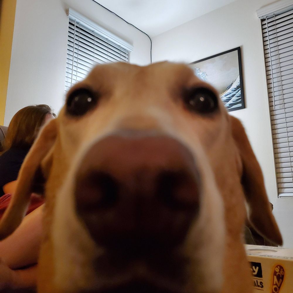 Lspryte