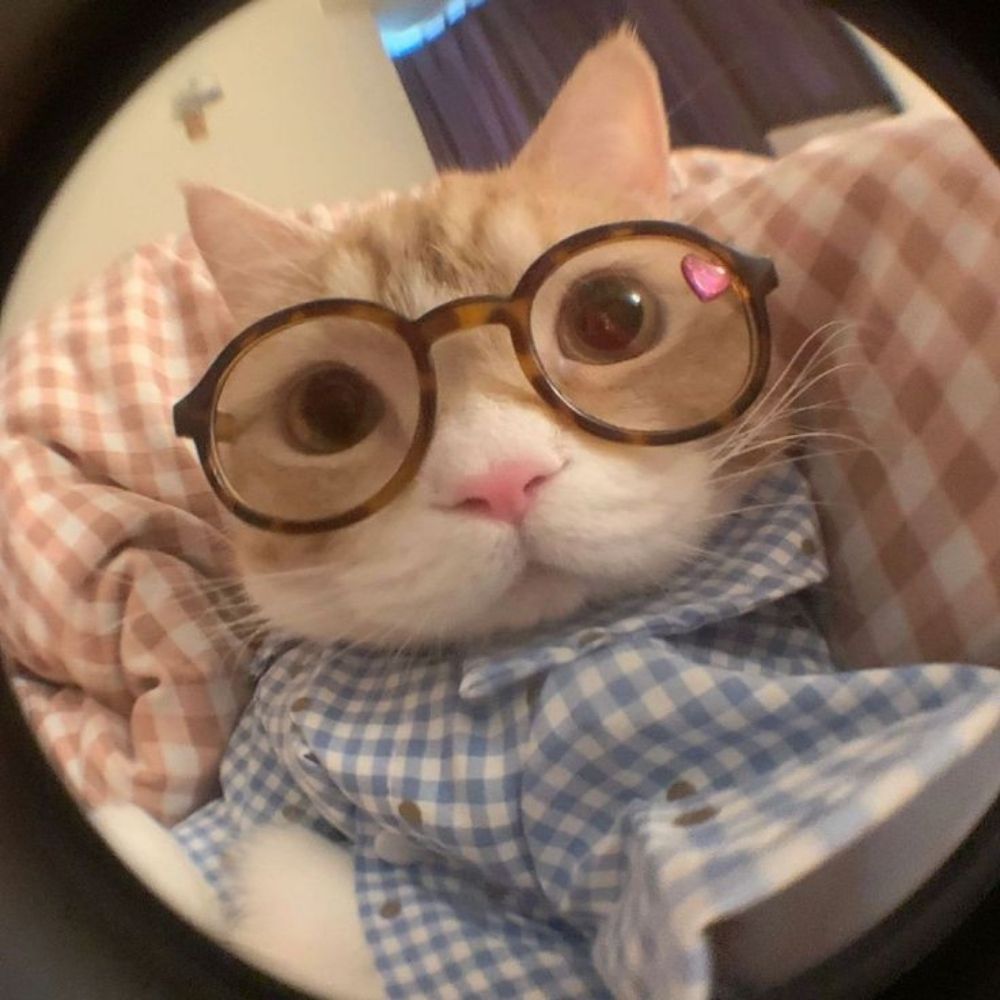 인공