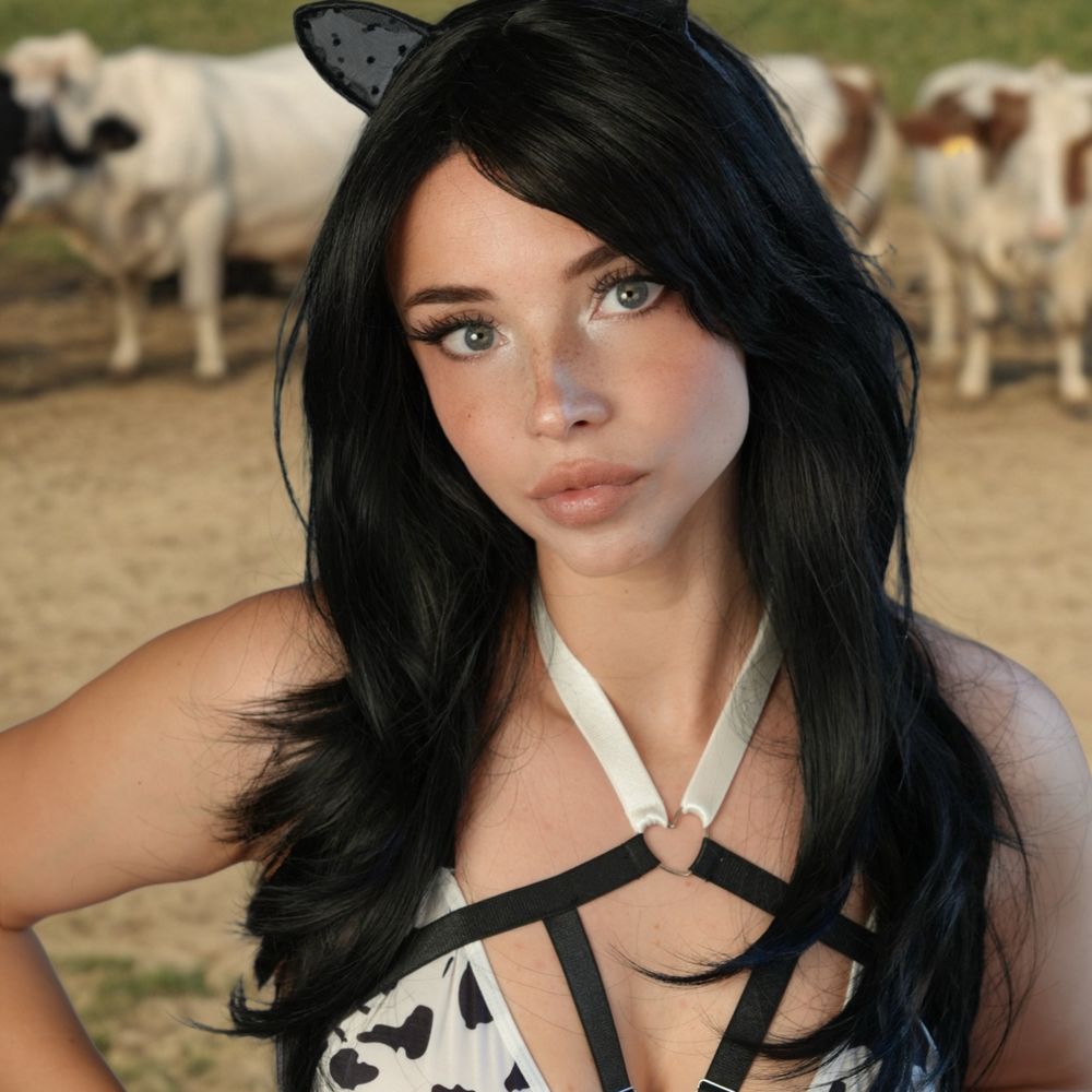 SkyLa VeeX