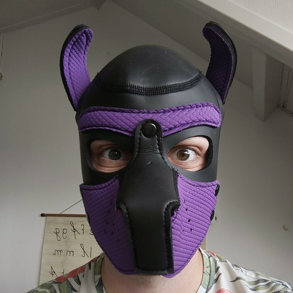 Pup Oliver