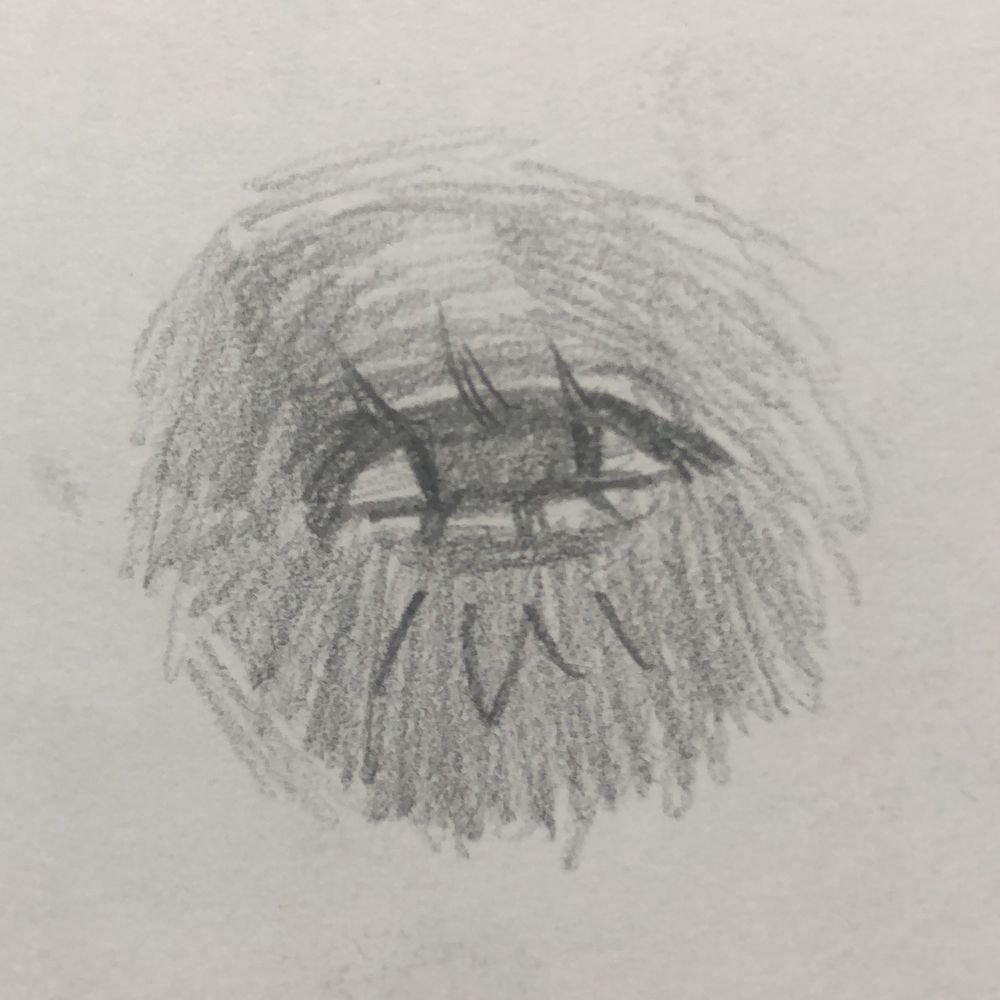 あぶりかるび