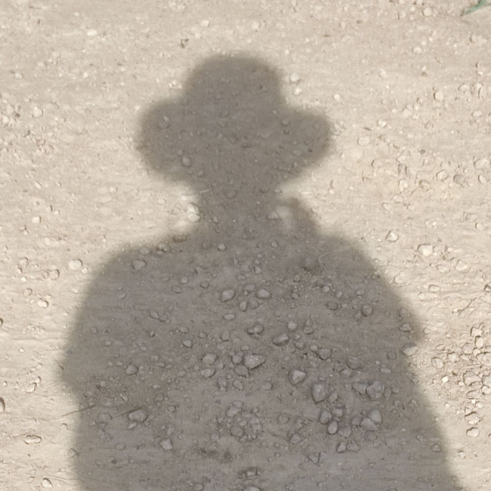 egidiusvanesch.bsky.social profile picture