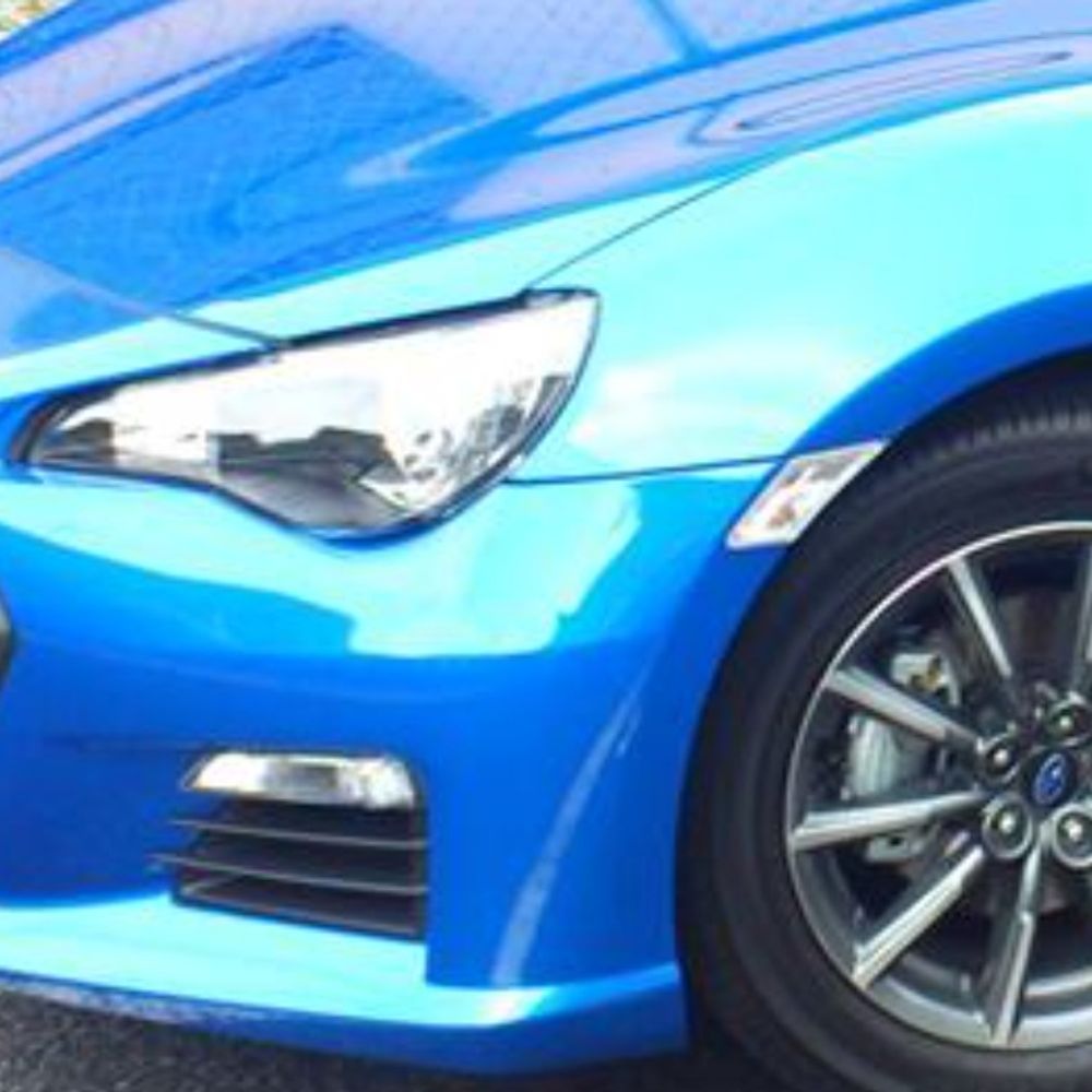 panexessu.bsky.social