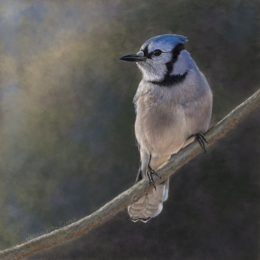 Scioto Side Studio-Patricia Getha Artist