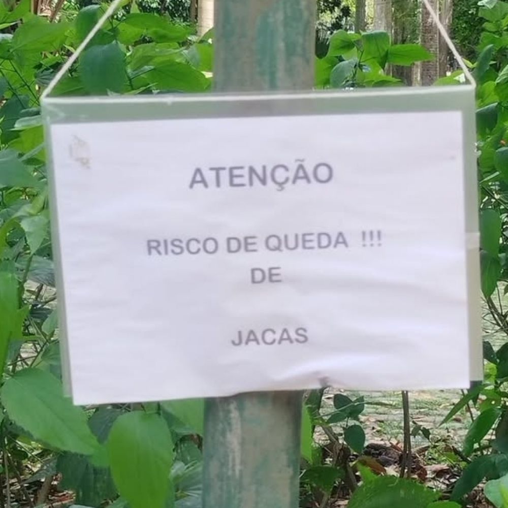 Diplomata do hedonismo