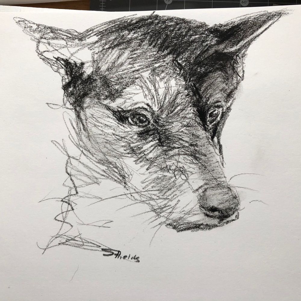 Laurie Shields Art