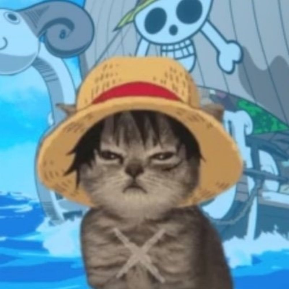 Monkey D Luffy 505