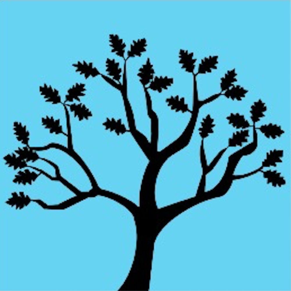 National Capstone Consortium