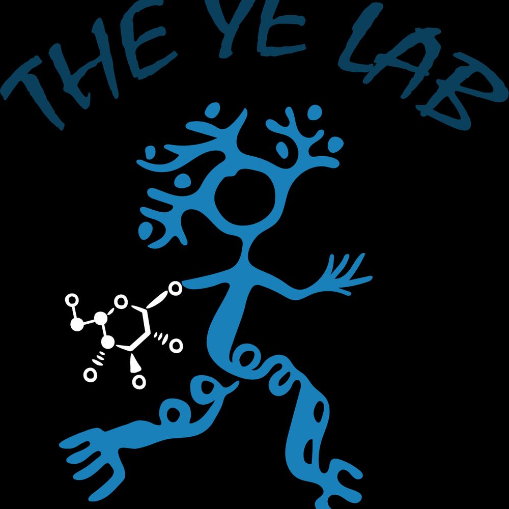 Ye Lab