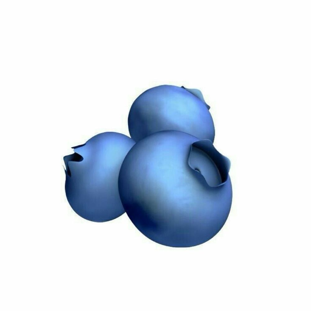 𐔌   .  ⋮ Rail  .ᐟ  ֹ   ₊ ꒱