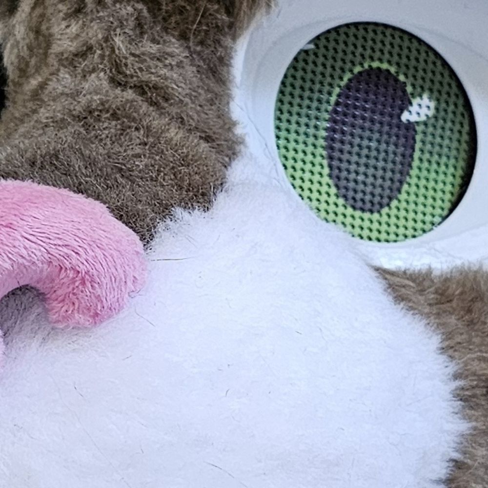 StarCandyCreations(Banjo &Tuna)
