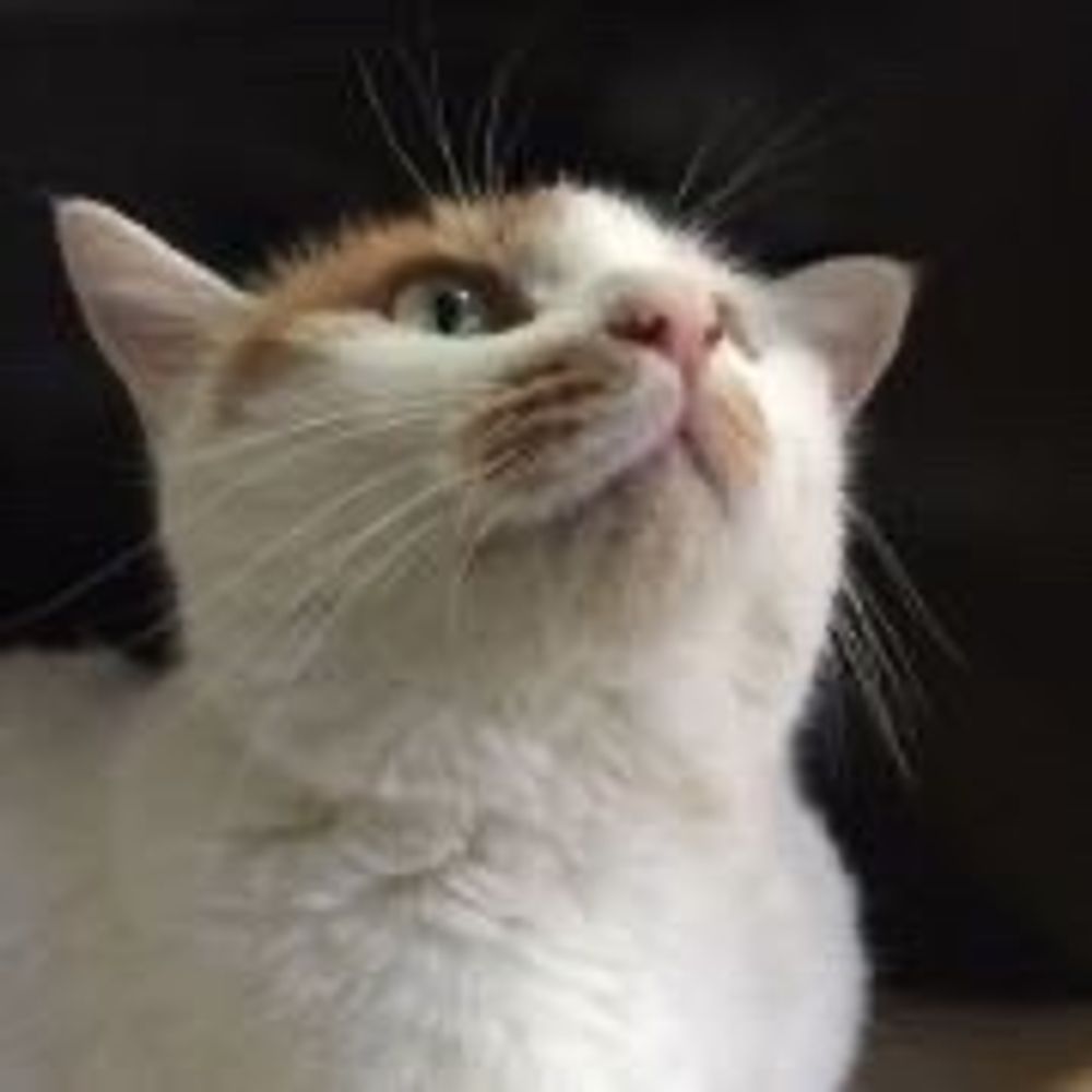 CY