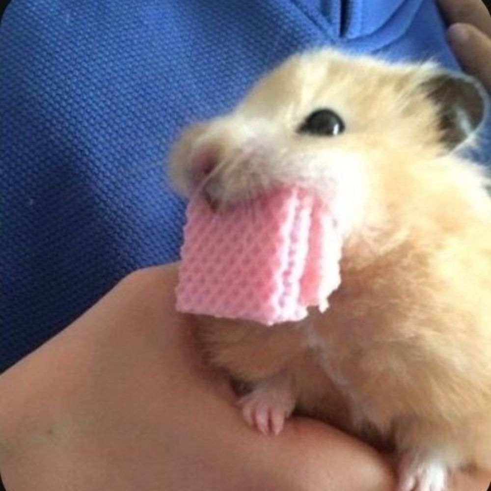  ⋆౨ৎ˚⟡˖ ࣪