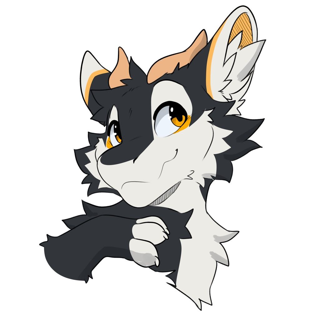 Kuyu