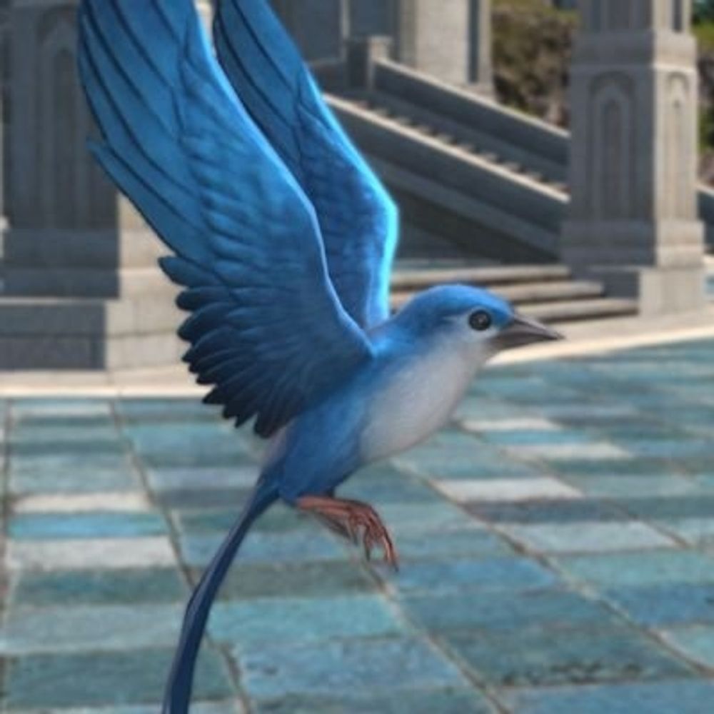 エスト