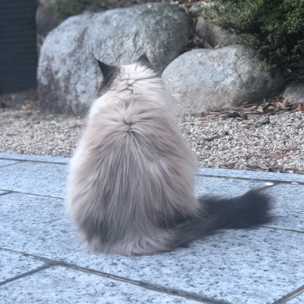 たぬぅ