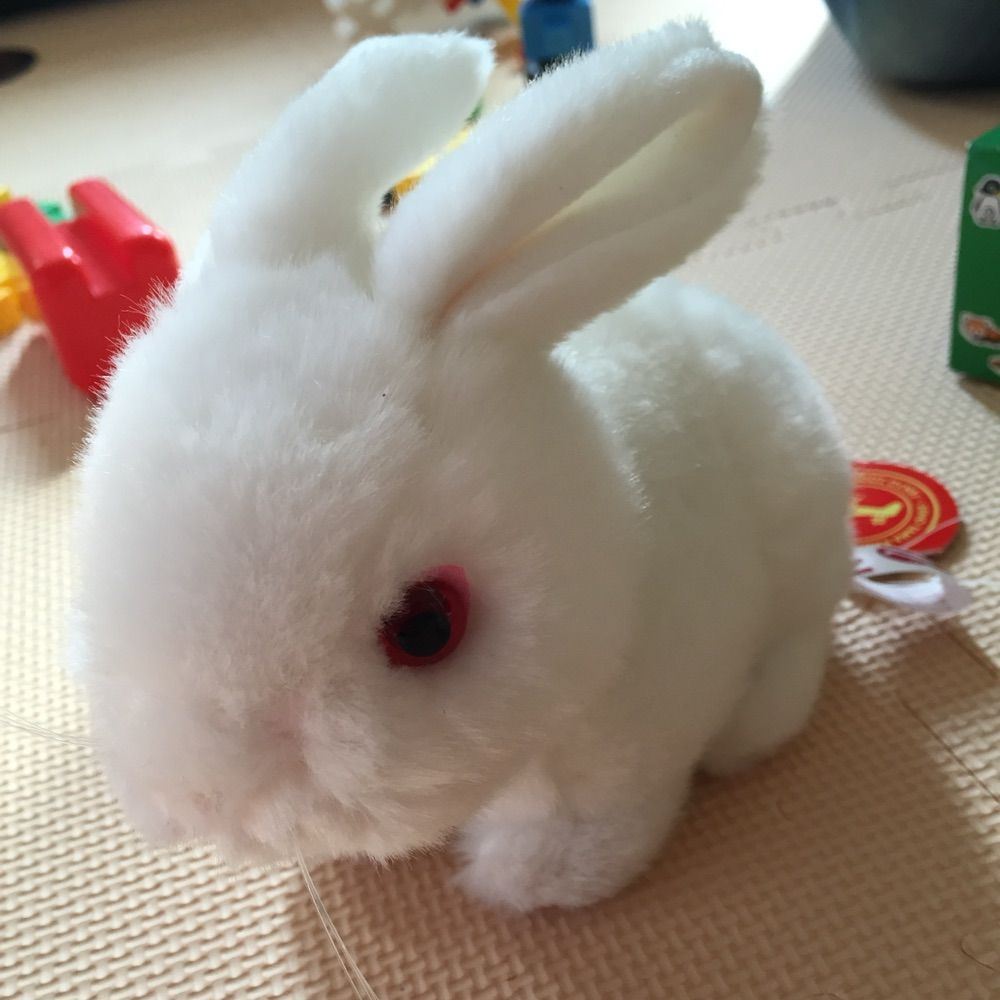 くろぱんだ
