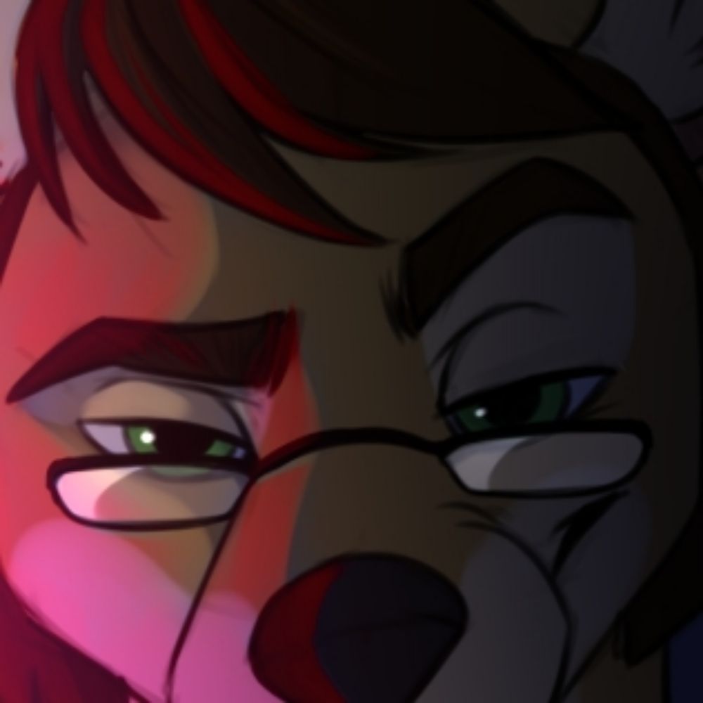 A Dingo After Dark