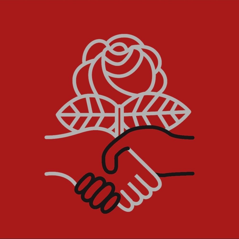 socialist-dem.bsky.social profile picture
