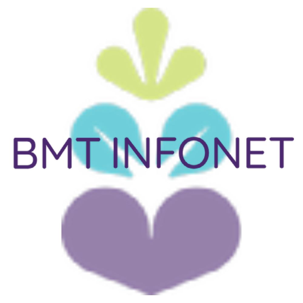 BMT Infonet