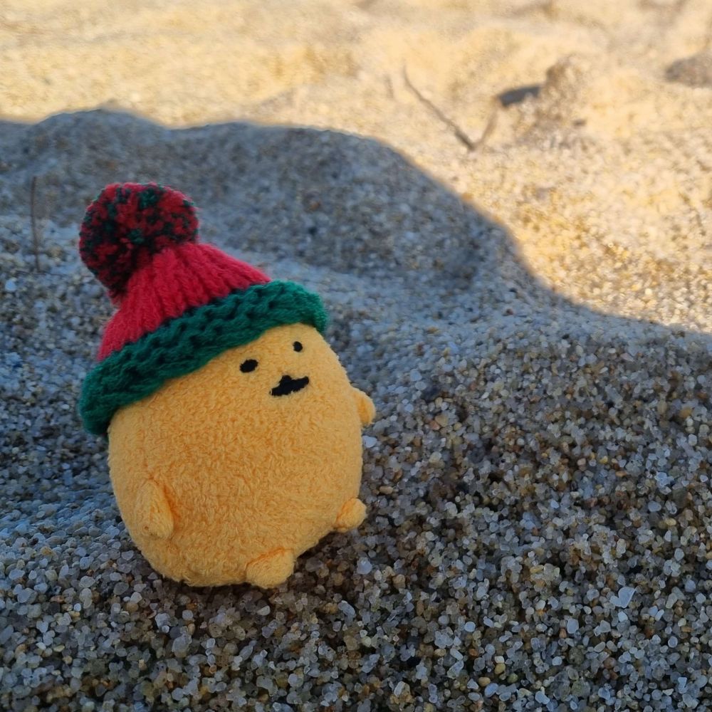 짭짤개