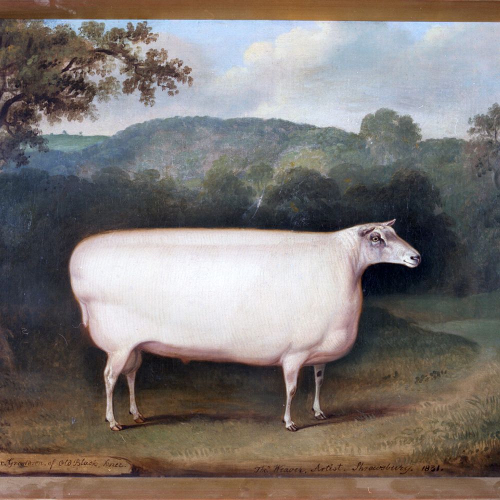 Oskar Rough Mosumgaard