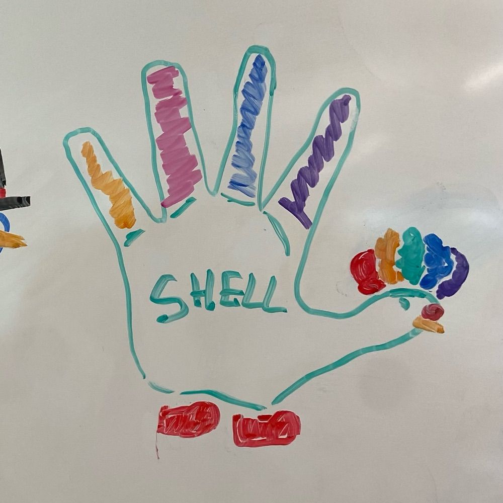 shell