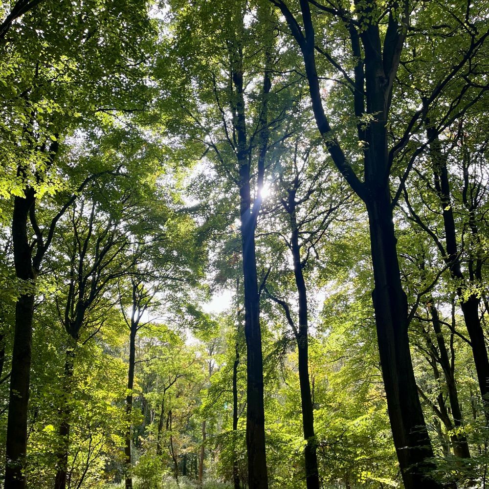 Happy Hiker