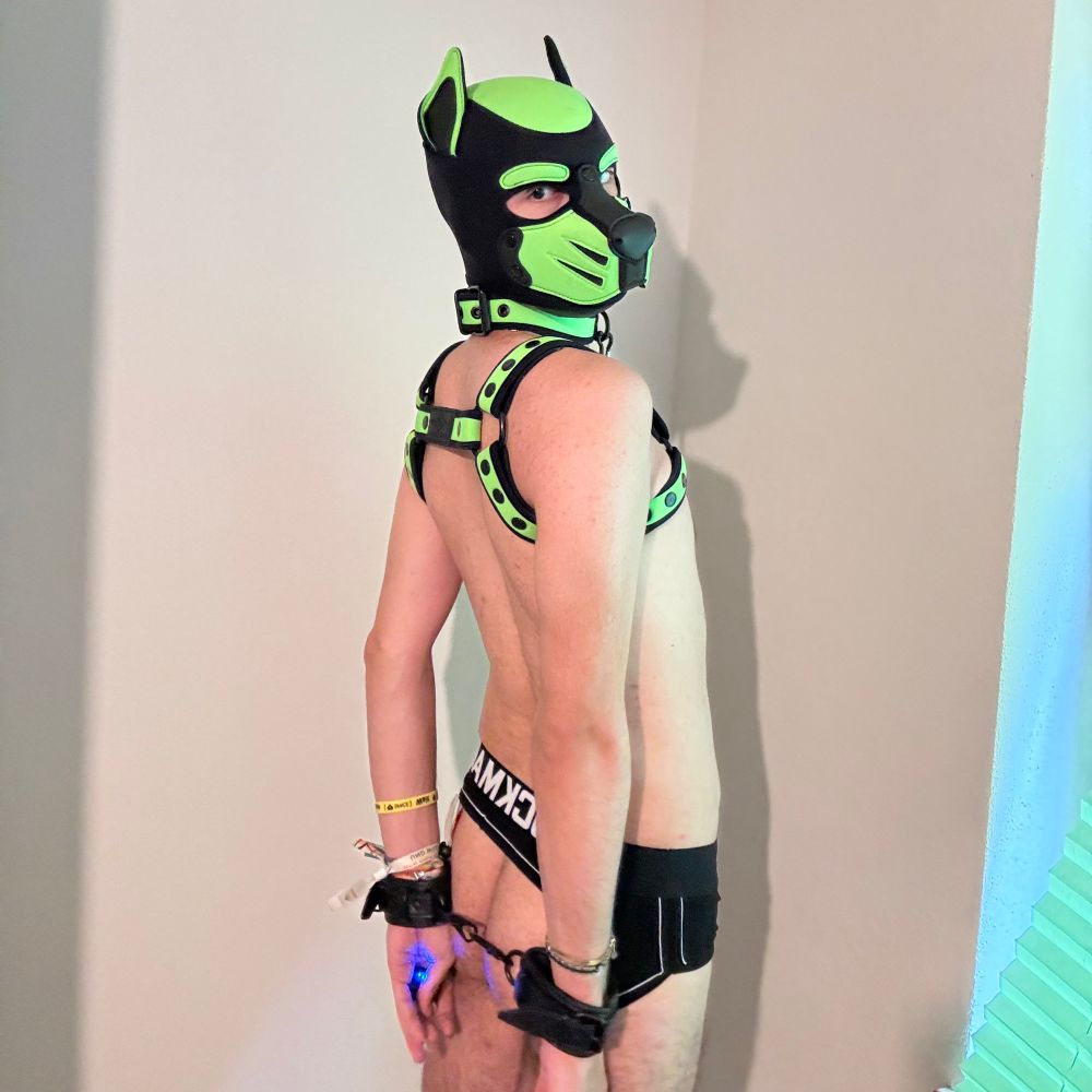 Pup_Shego