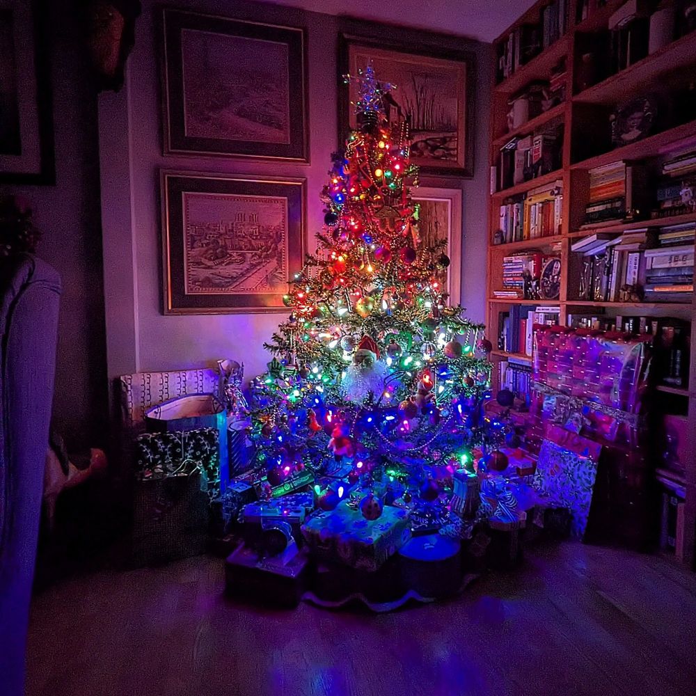 DeniseSF5 🇨🇦*🇺🇦*🇩🇪