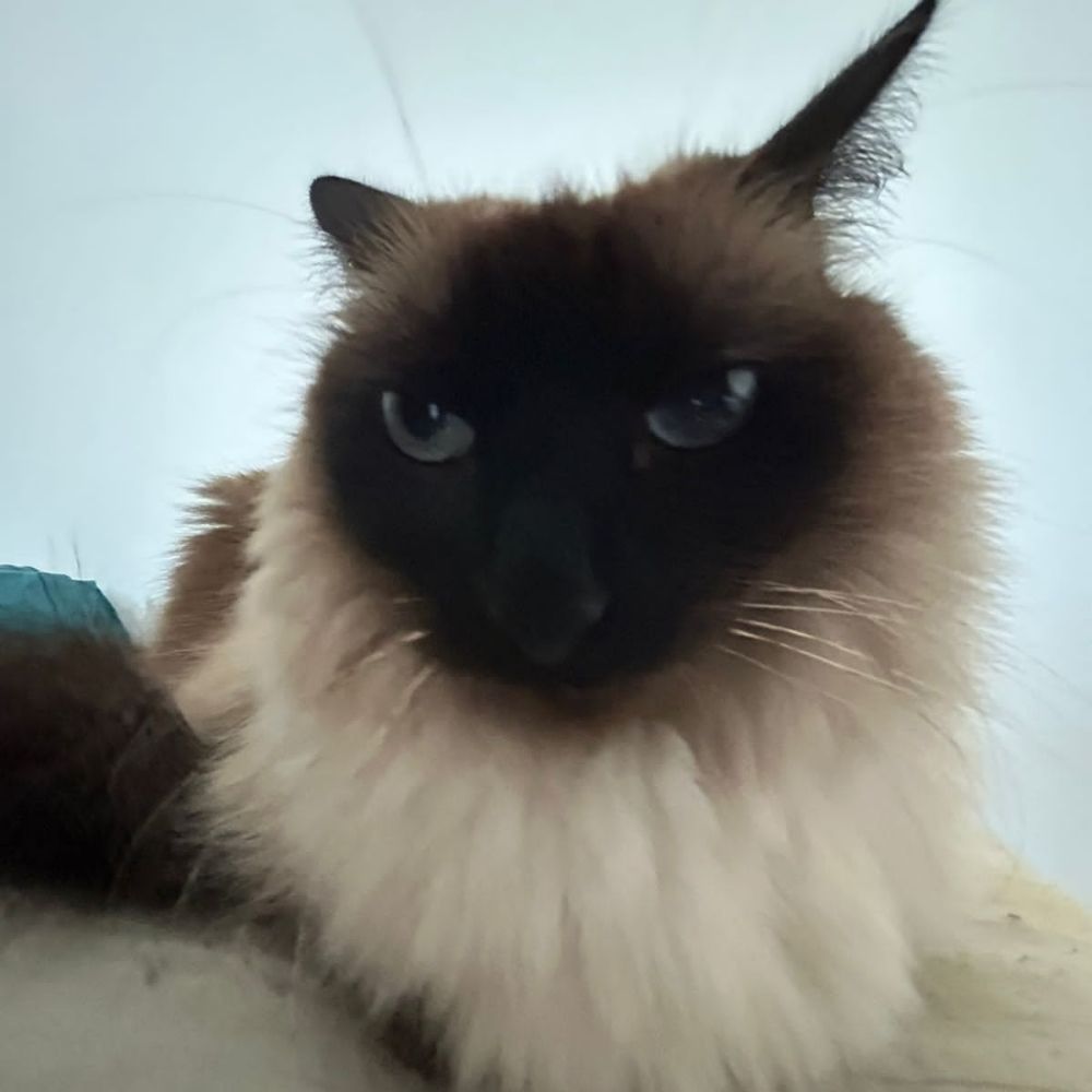 Nana