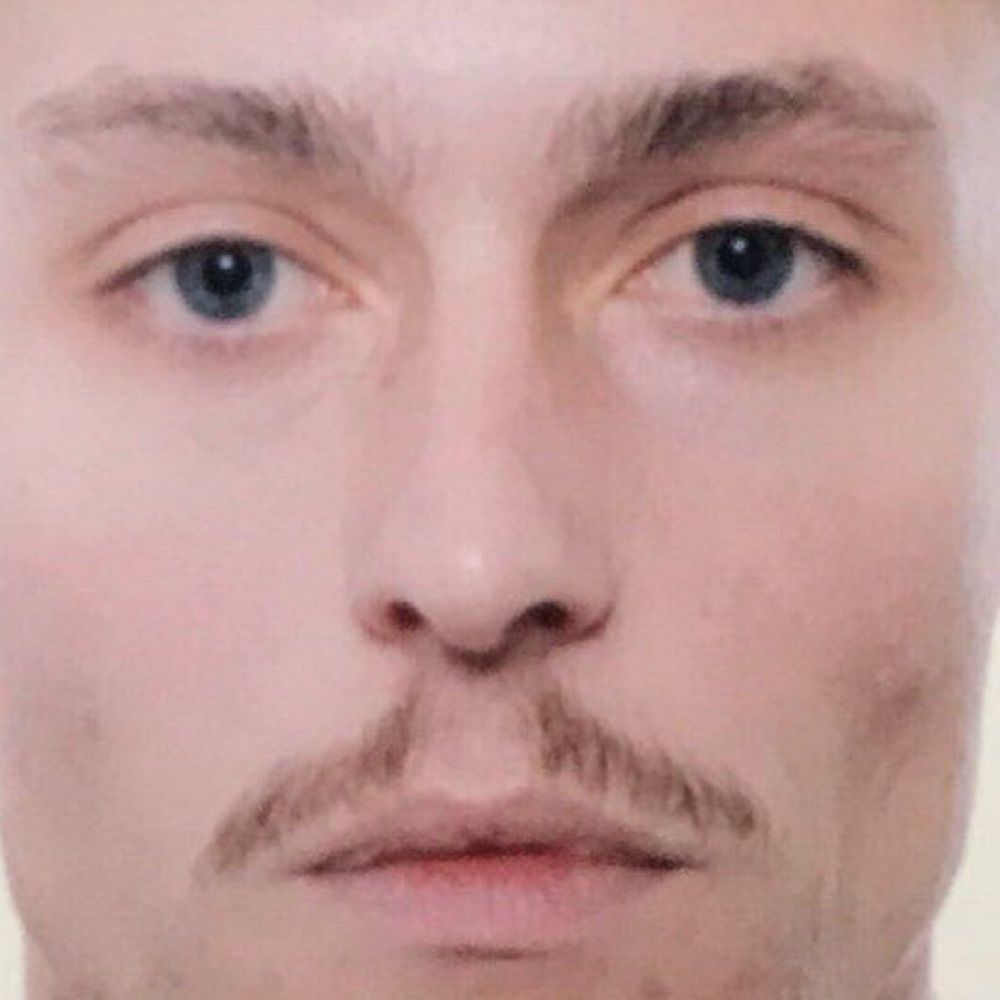 David Kvien