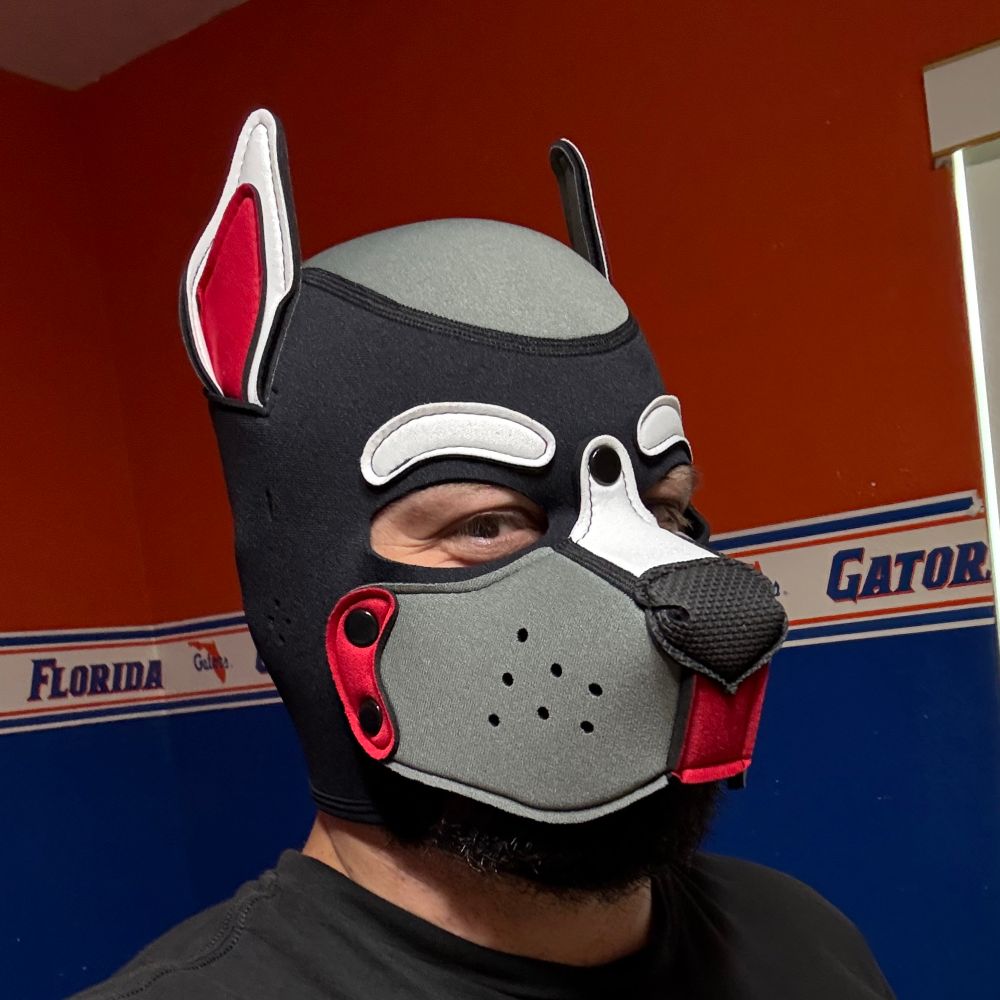 Pup Model: SYBORG Rev: V2.0