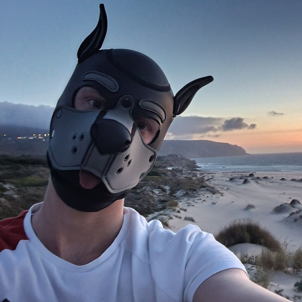 Pup_Taurus