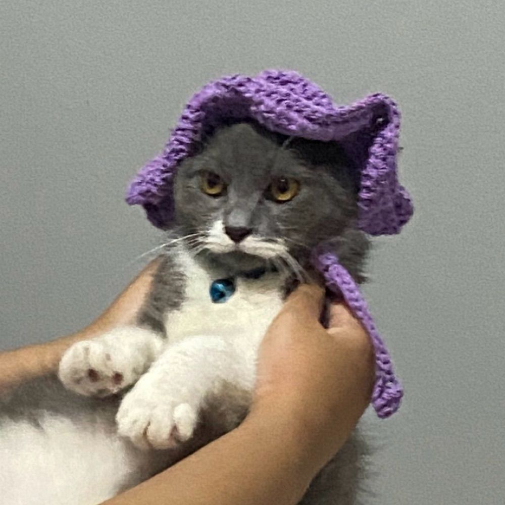 mimi