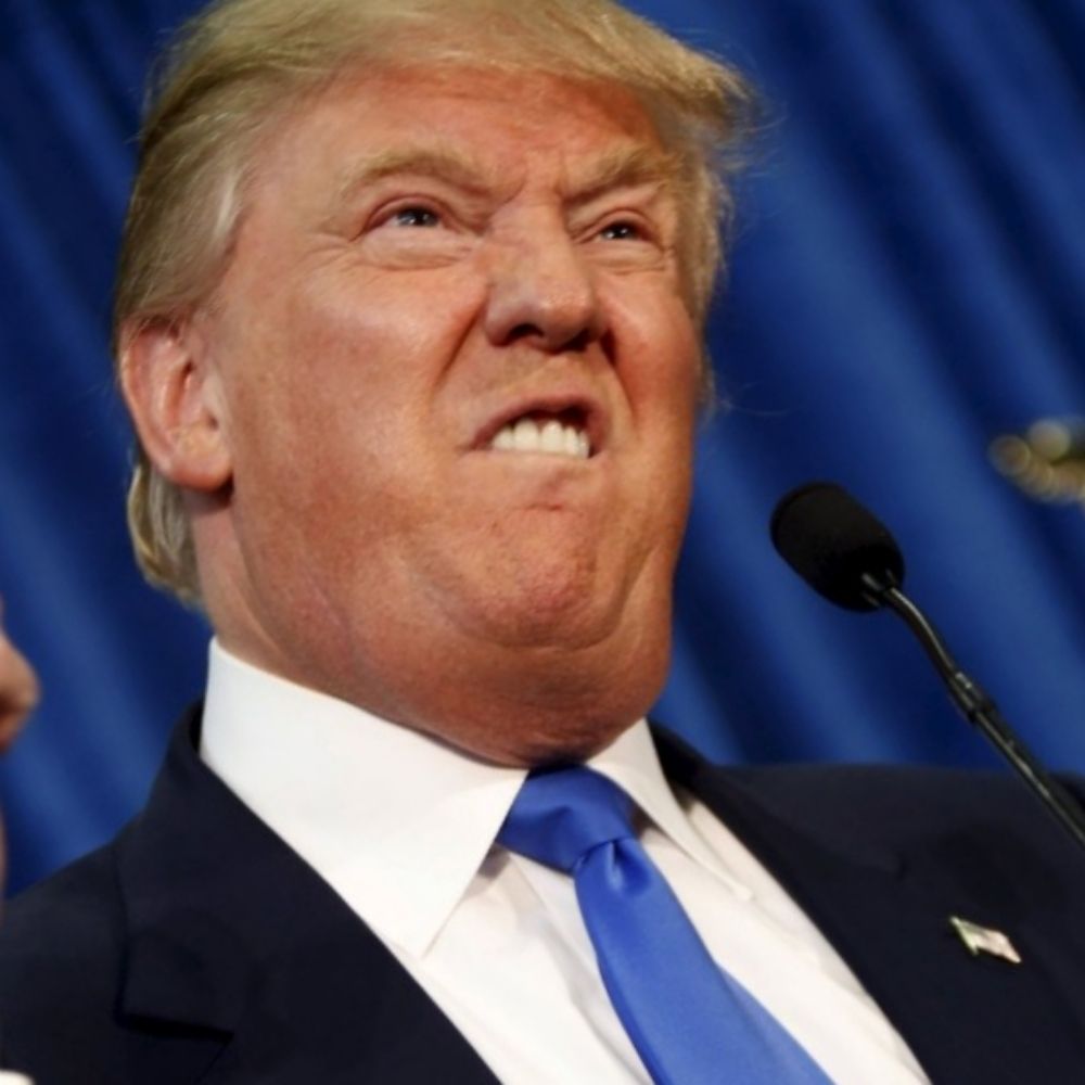 Trump funny memes