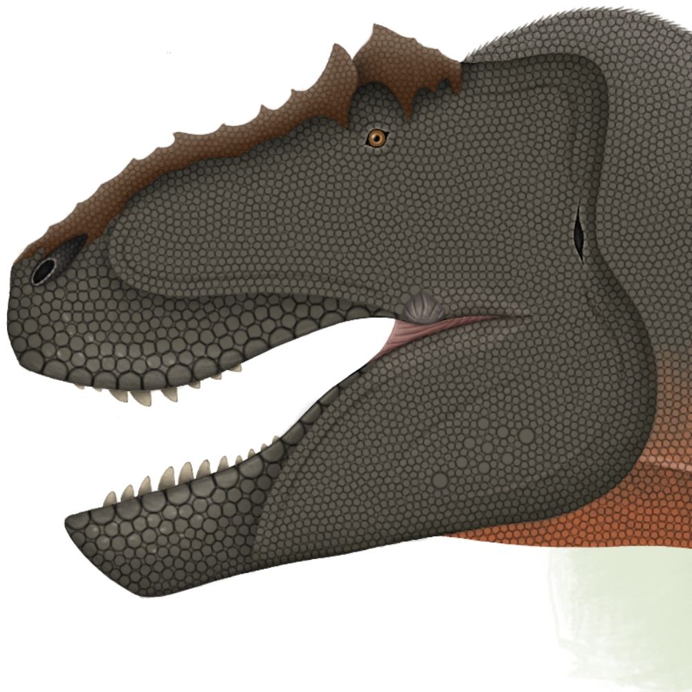 BossaurusRex