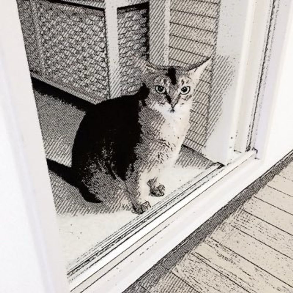 らいまる