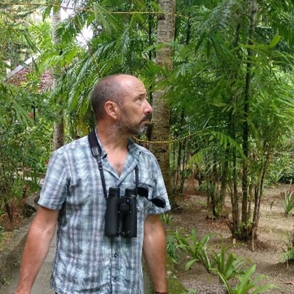 Xavier Riera