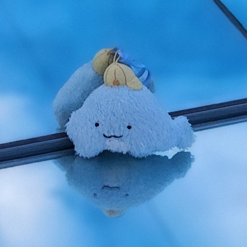 김마사🐳