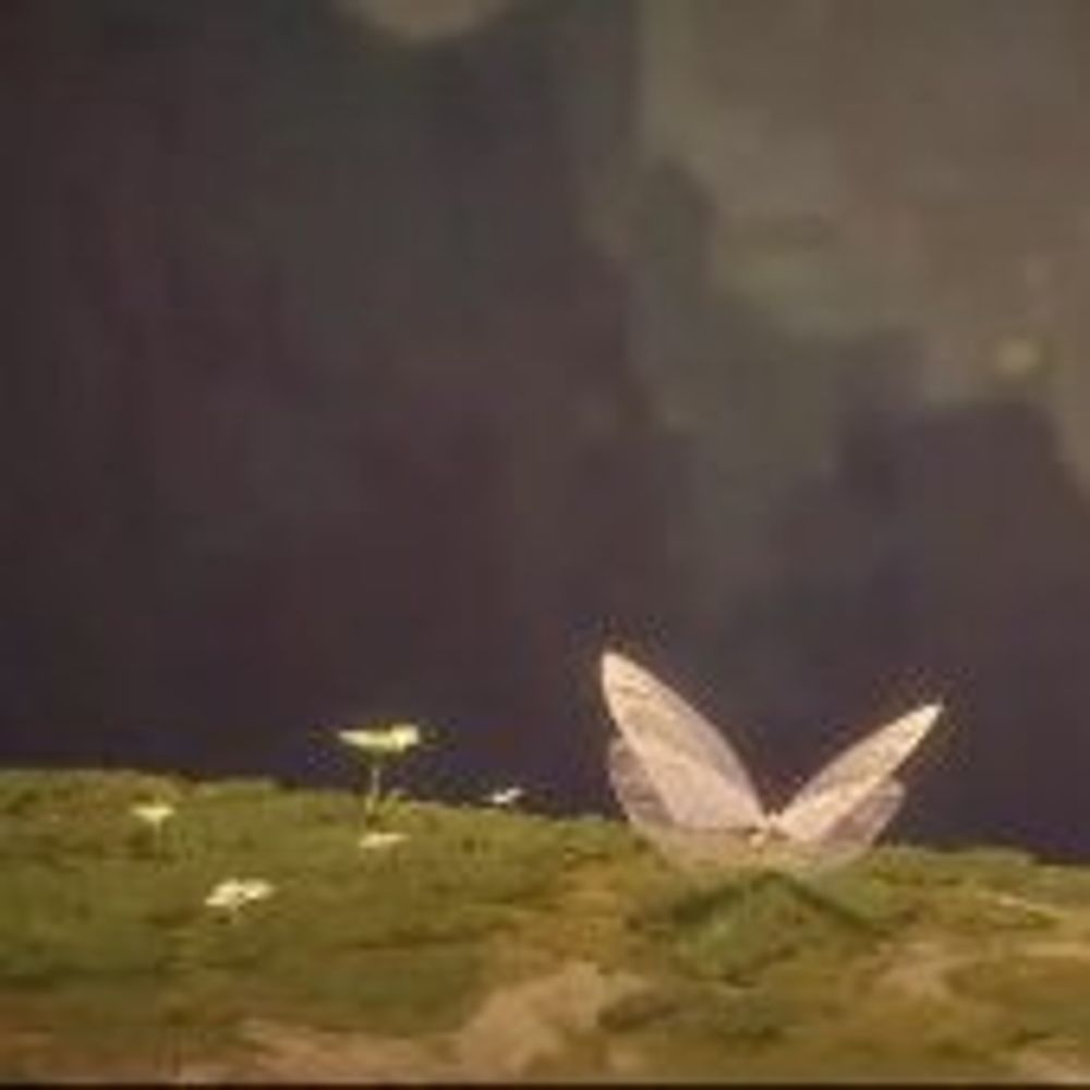 WhiteButterfly